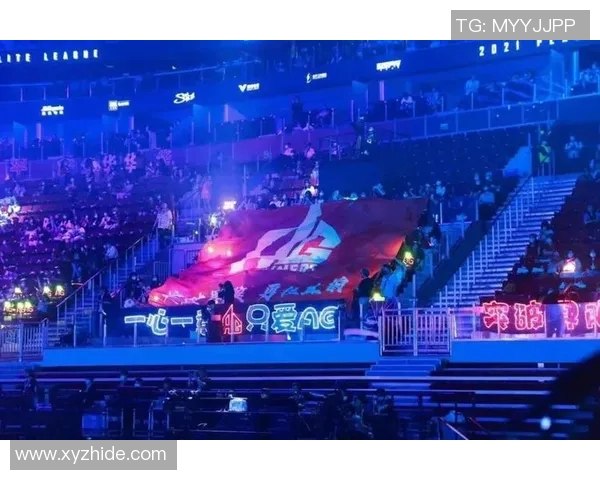 和平精英赛事分析RNG团队协作策略与战术执行的深度探讨